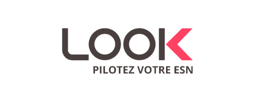 Look Pilotez votre ESN