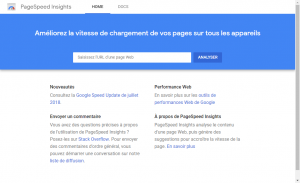 Capture de l'interface Page Speed Insights.